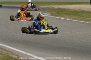 DSC_0036 (3)